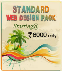 Web design Packages
